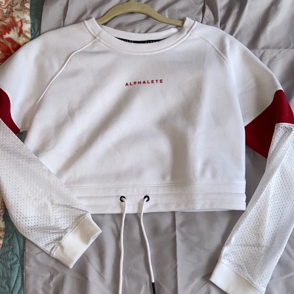 ON HOLD Alphalete cropped sweater